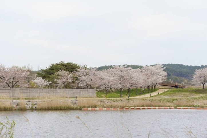경포생태저류지_2_공공3유형.jpg