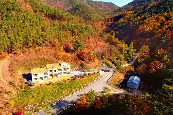 국립속리산말티재자연휴양림 여행 추천 - 메고지고
