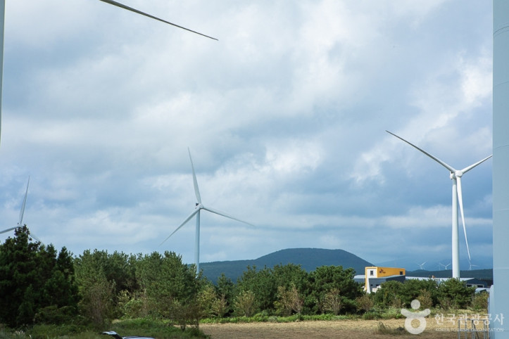 가시리국산화풍력발전단지_7_공공3유형.jpg