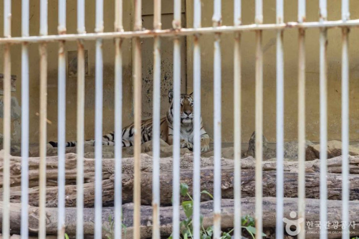 청주동물원_5_공공3유형.jpg