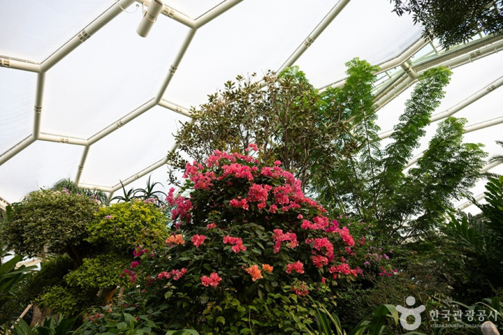부천호수식물원_수피아_9_공공3유형.jpg