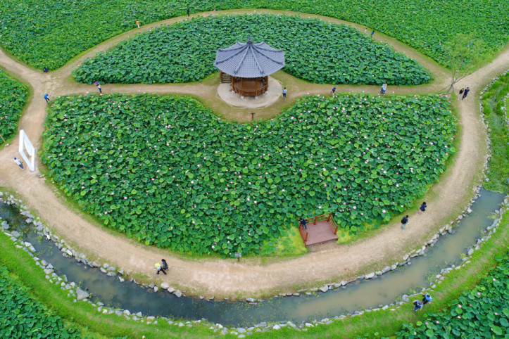 함안_연꽃테마파크_3_공공3유형.JPG