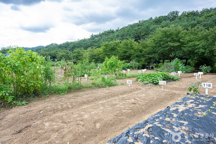 원두막주말농장_7_공공3유형.jpg