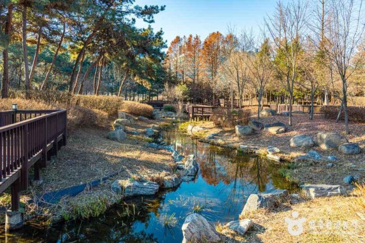 남부수자원생태공원 여행 추천 - 메고지고