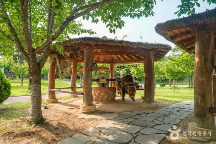 신서 중앙공원 여행 추천 - 메고지고