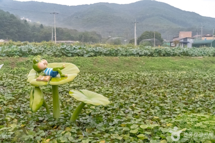 내동마을_연꽃단지_3_공공3유형.jpg