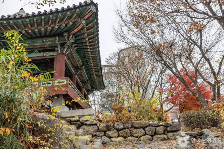 망원정 터 여행 추천 - 메고지고