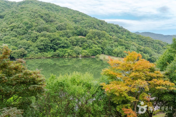 옥성자연휴양림_2_공공1유형.jpg