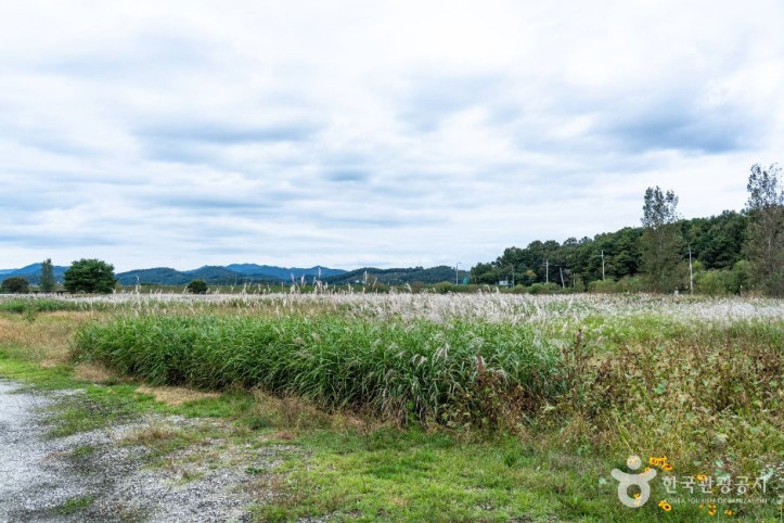 칠지공원 여행 추천 - 메고지고