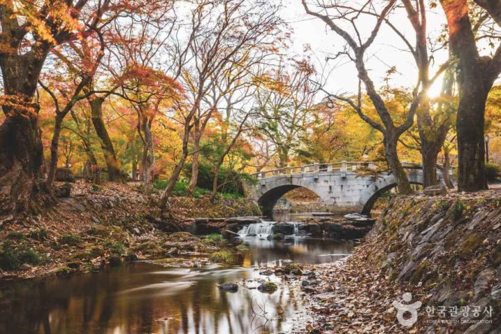 선운사(고창) 여행 추천 - 메고지고