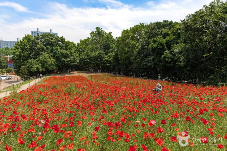 올림픽공원_들꽃마루_2_공공1유형.jpg