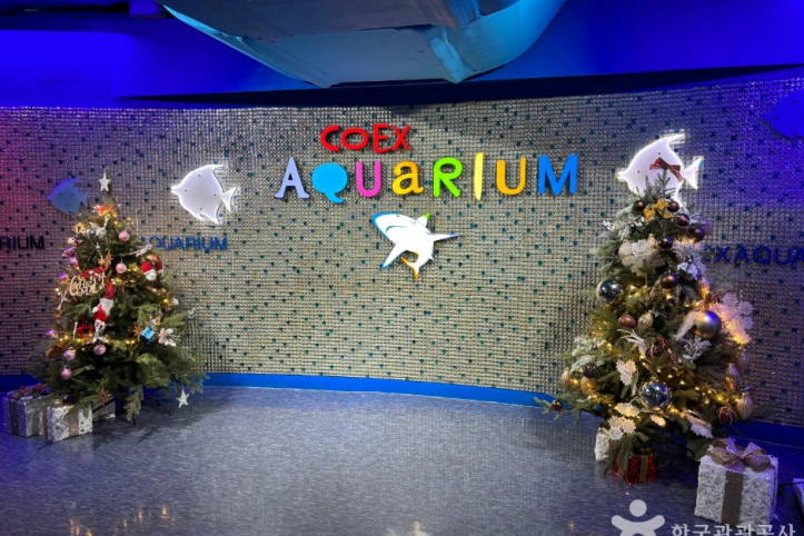 코엑스_아쿠아리움_9_공공3유형.jpg