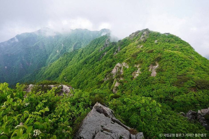 계룡산국립공원_1_공공3유형.jpg
