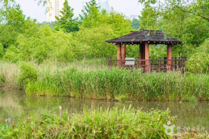 영랑호_습지생태공원_5_공공1유형.jpg