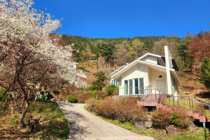 국립속리산말티재자연휴양림 여행 추천 - 메고지고