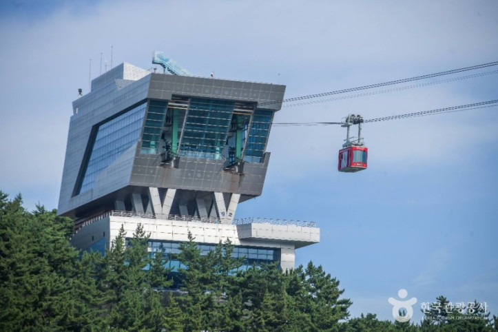 삼척해상케이블카_4_공공1유형.jpg