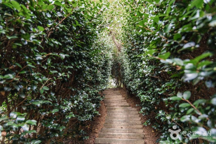 달빛소리_수목원_2_공공1유형.jpg