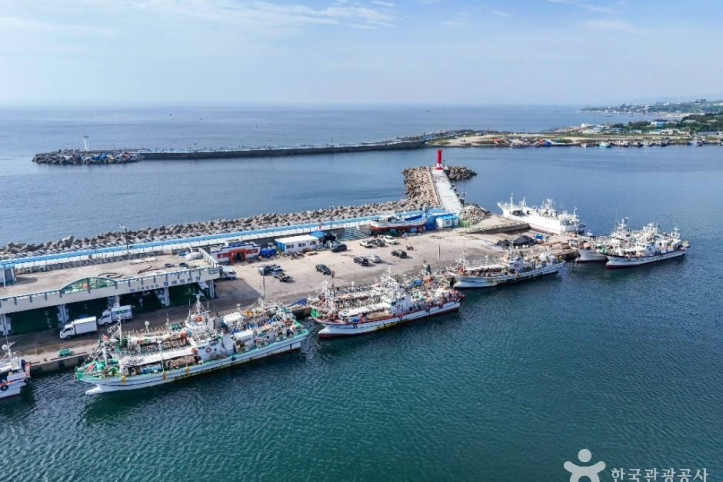 구룡포항_5_공공1유형.jpg