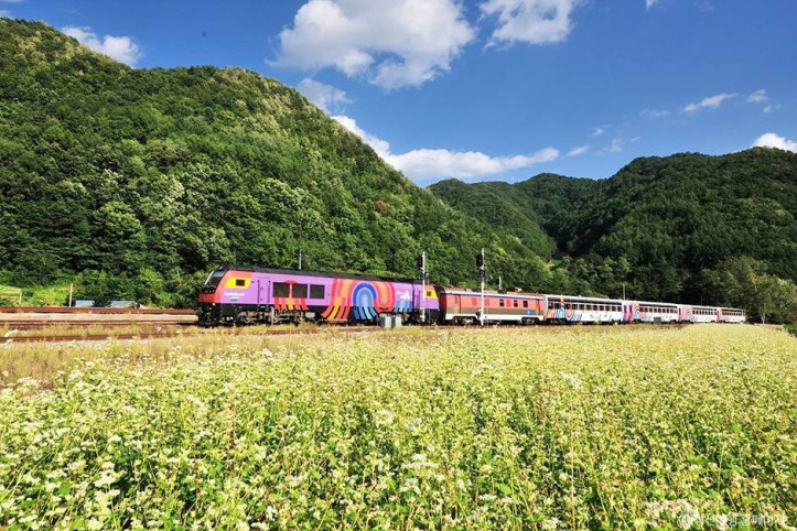 정선아리랑열차(A-train)_1_공공3유형.jpg