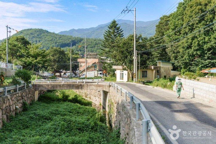 춘양목송이_정보화마을_3_공공1유형.jpg