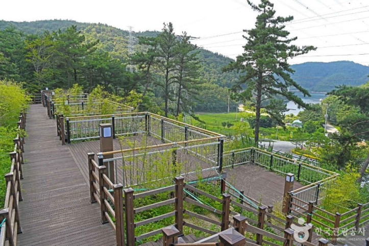선암_자연휴양림_4_공공3유형.JPG