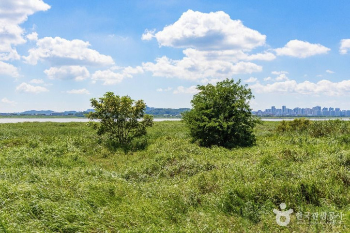 장항습지_4_공공1유형.jpg