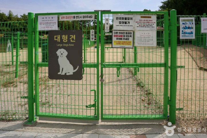 봉화재_반려견_놀이터_3_공공3유형.jpg