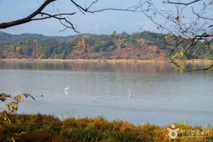 창녕 우포늪 여행 추천 - 메고지고