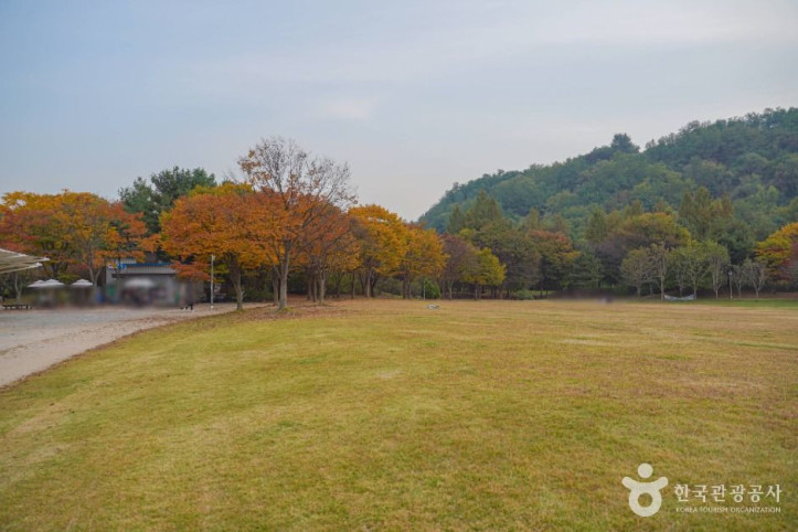 난지천공원 여행 추천 - 메고지고