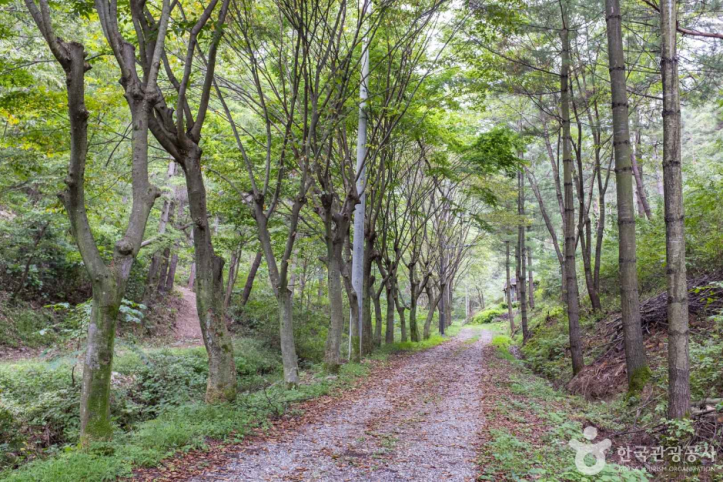 청송_자연휴양림_3_공공3유형.png