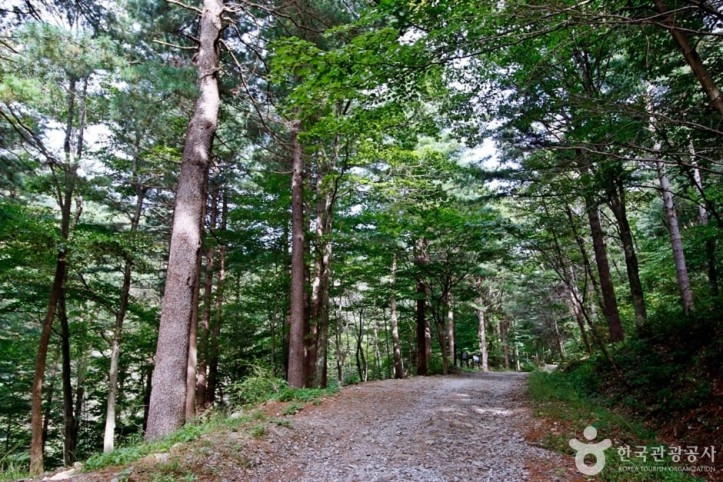 국립_덕유산자연휴양림_3_공공3유형.JPG