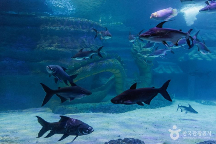 아라마루_아쿠아리움_5_공공1유형.jpg