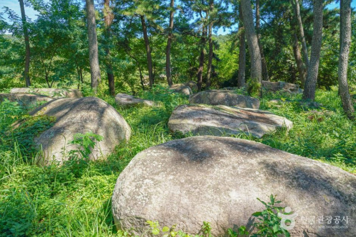 장흥_방촌리_지석묘군_4_공공1유형.jpg