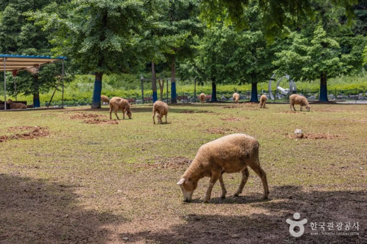늘솔길공원양떼목장_5_공공1유형.jpg