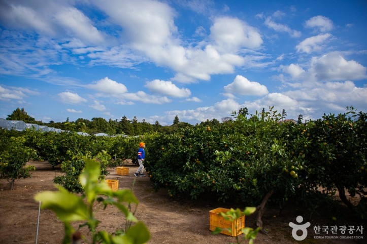 제주송정농원_3_공공3유형.jpg