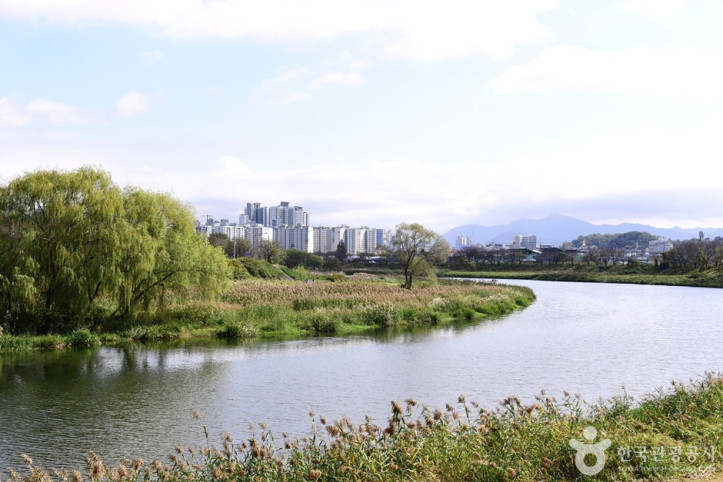 팔복동_천변_4_공공3유형.jpg