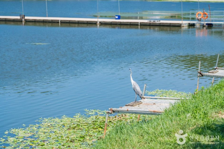어천저수지_1_공공1유형.jpg