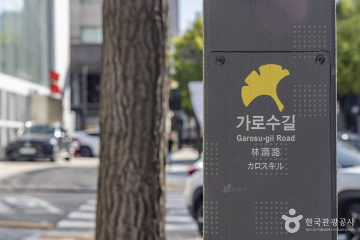 신사동 가로수길 여행 추천 - 메고지고
