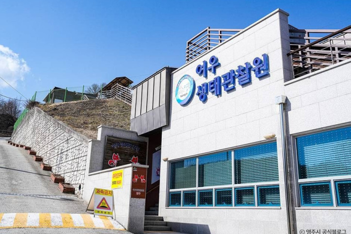 여우생태관찰원_7_공공3유형.jpg