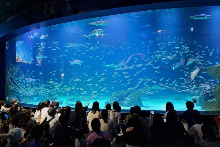 대구_아쿠아리움_4_공공3유형.jpg