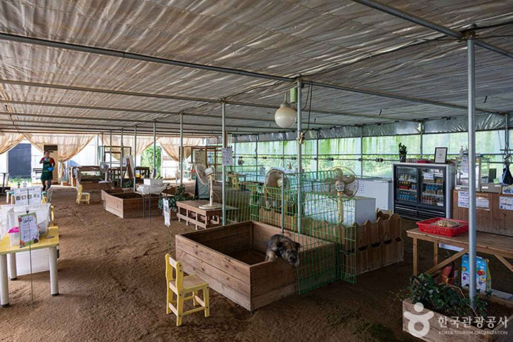 찬우물_체험동물농장_4_공공3유형.jpg