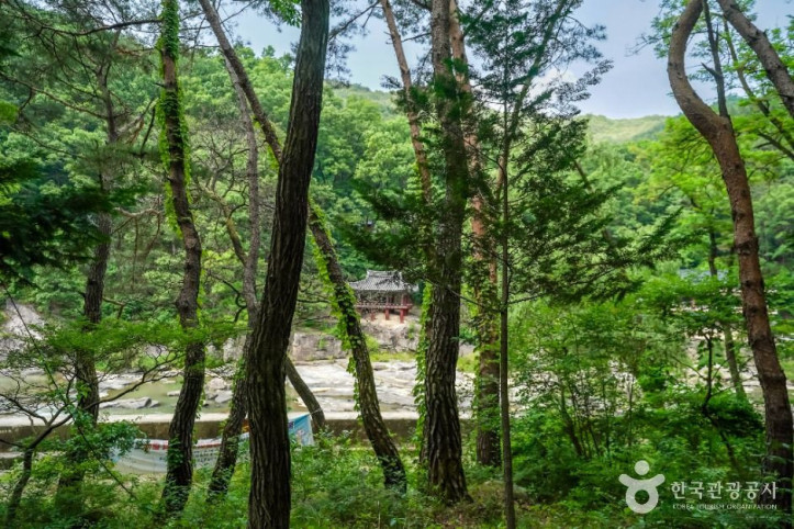 거창 건계정 여행 추천 - 메고지고