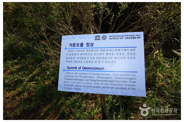 거문오름 여행 추천 - 메고지고