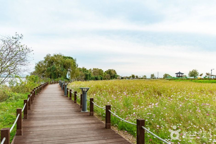 삽교호호수공원_7_공공1유형.jpg
