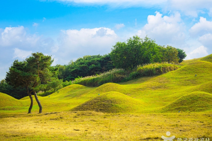 대구_불로동_고분군_6_공공1유형.jpg