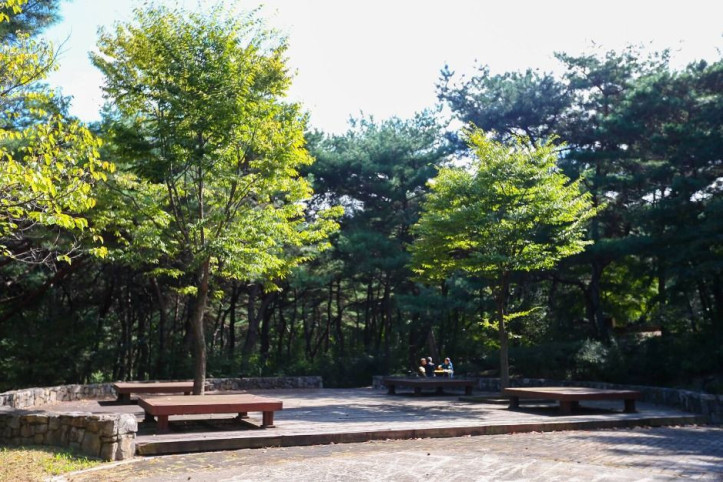 태학산자연휴양림 여행 추천 - 메고지고