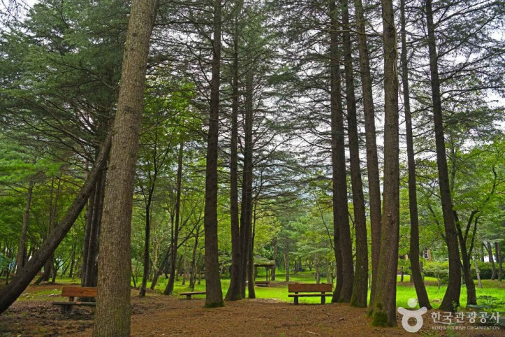 내장산수목원_3_공공3유형.JPG