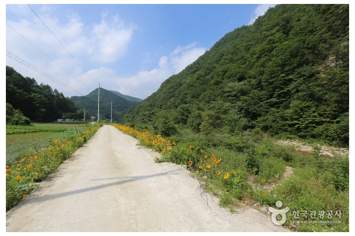구룡산(강원)_1_공공3유형.jpg