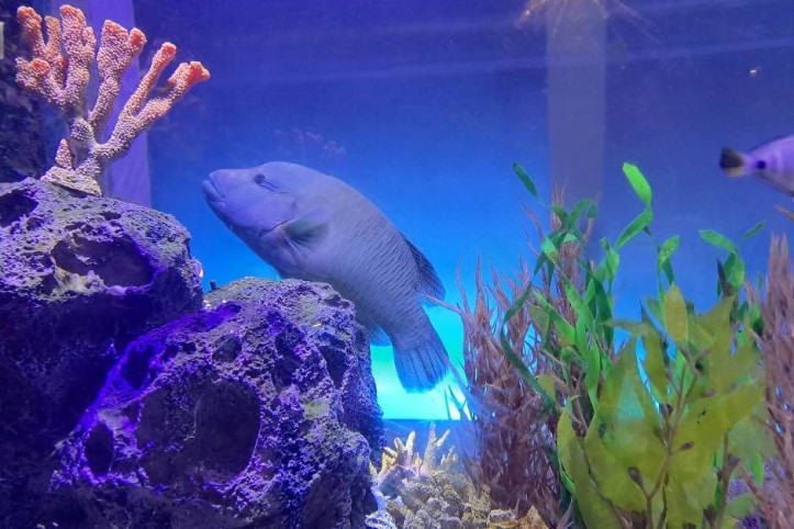 대구_아쿠아리움_5_공공3유형.jpg