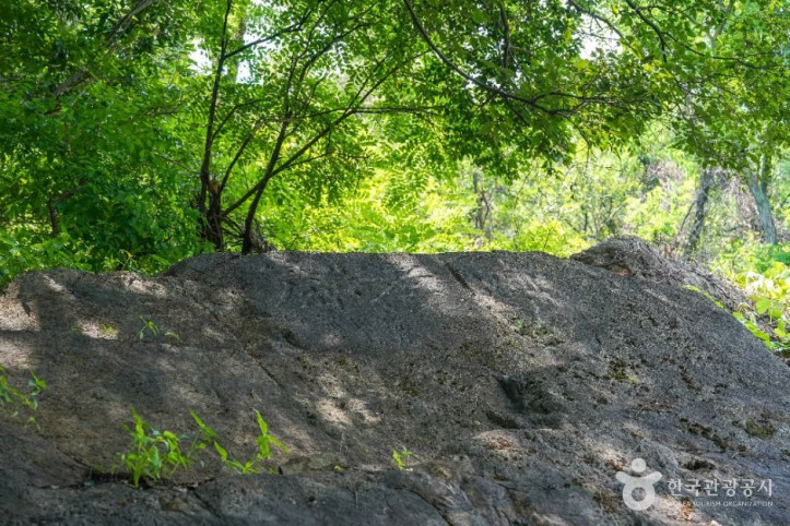 사효자굴_4_공공1유형.jpg